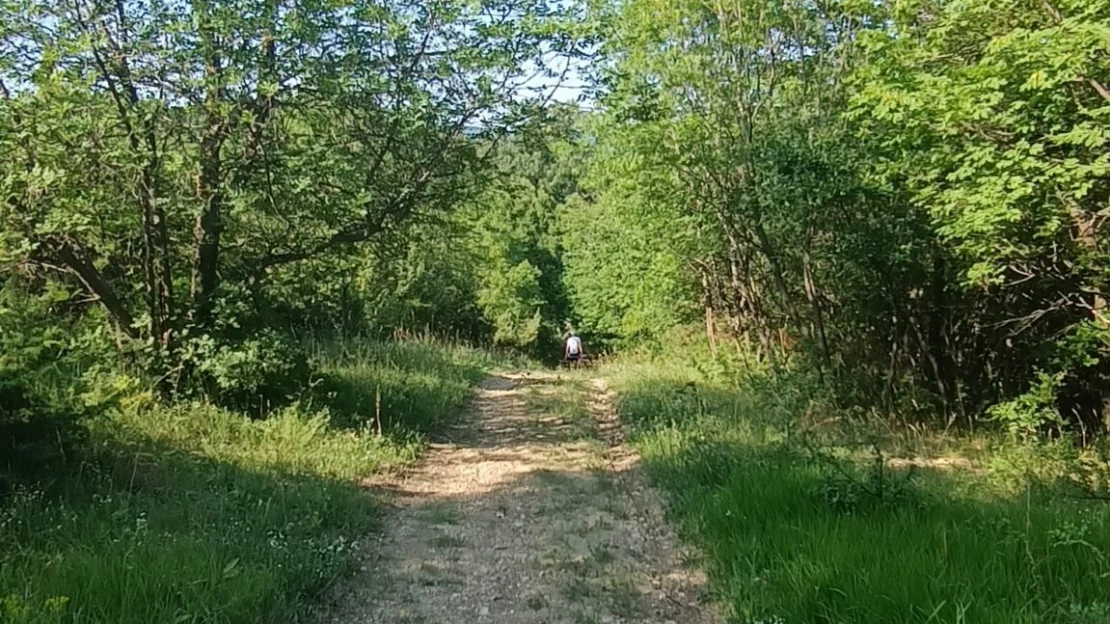 Egy miniszter rokonaihoz köthető vadásztársaság hónapokra kisajátított egy erdőt