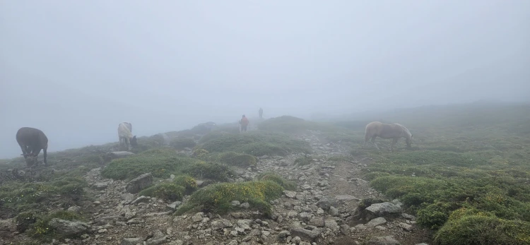 A Légiós El Camino: kiszámíthatatlan, vad, embert próbáló túra, ahova azonnal visszavágysz_24