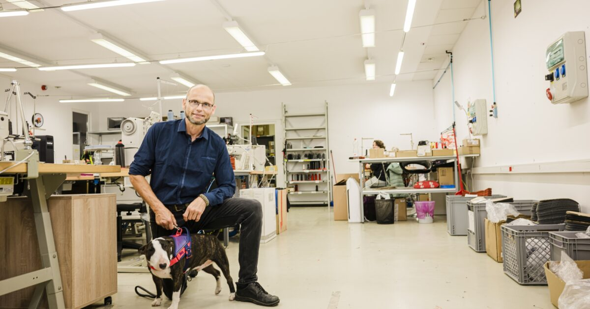 A népszerű magyar kutyahámot is megütötte a Temu. Így váltanak stratégiát