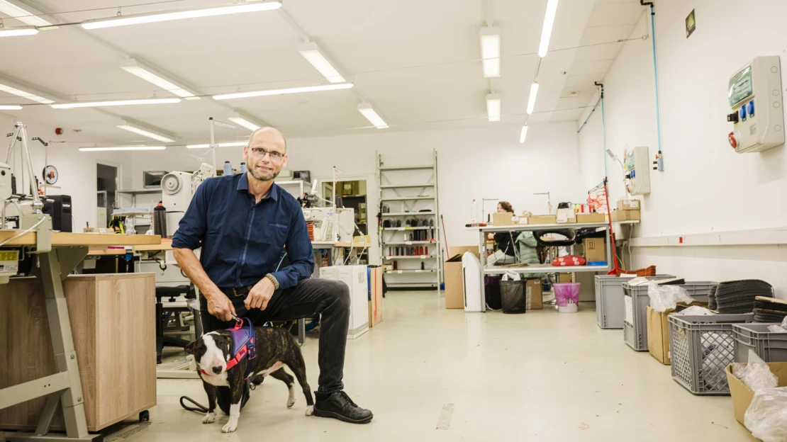 A magyar Julius-K9-et is megütötte a Temu. Új fronton veszik fel a harcot