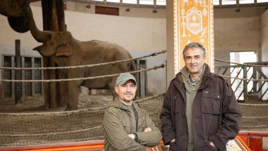 Az orrszarvú-termékenyítéstől a vadlovakig: ez Vadon Jani új projektje