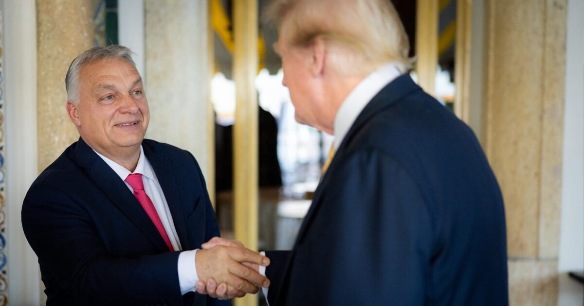Trump aláírta a transznemű emberek katonai szolgálatát tiltó rendeletet