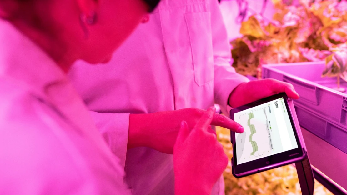 Tízmillió dolláros befektetést kapott egy mezőgazdasági startup