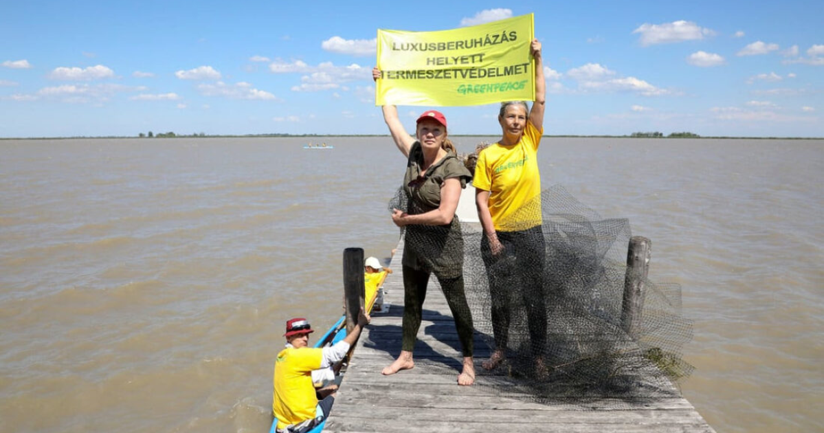 Felmentette a bíróság a Fertő-tónál fecskéket mentő színésznőt