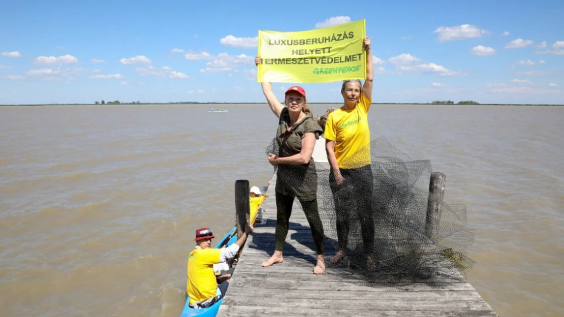 Felmentette a bíróság a Fertő-tónál fecskéket mentő színésznőt