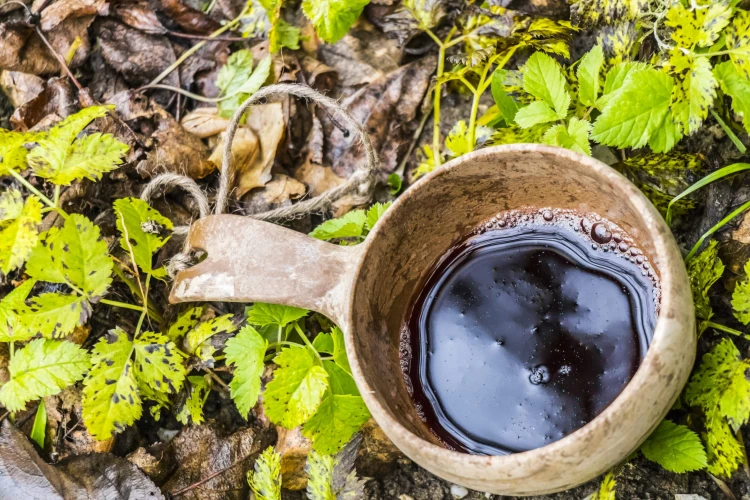 Évit sokan megmosolyogták, hogy mindenből szörpöt főz, de mára ez lett a hivatása_0