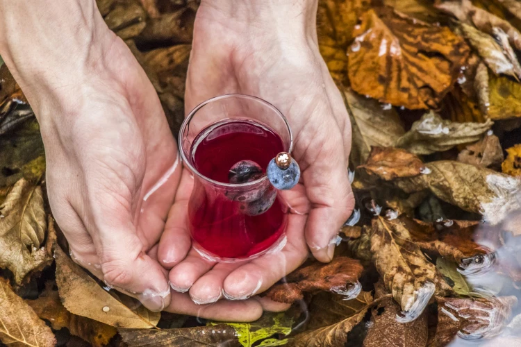 Évit sokan megmosolyogták, hogy mindenből szörpöt főz, de mára ez lett a hivatása_4