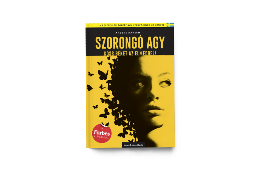 Anders Hansen: Szorongó agy