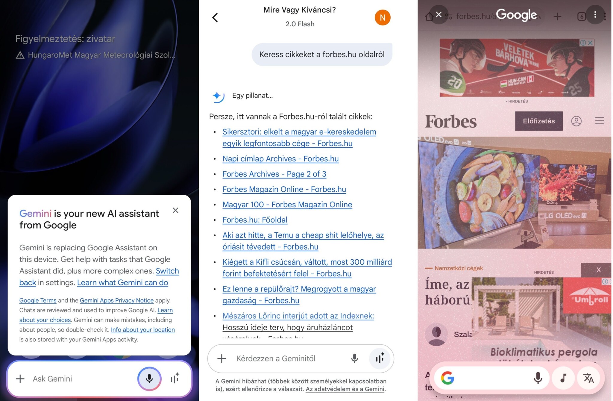 Google AI Gemini