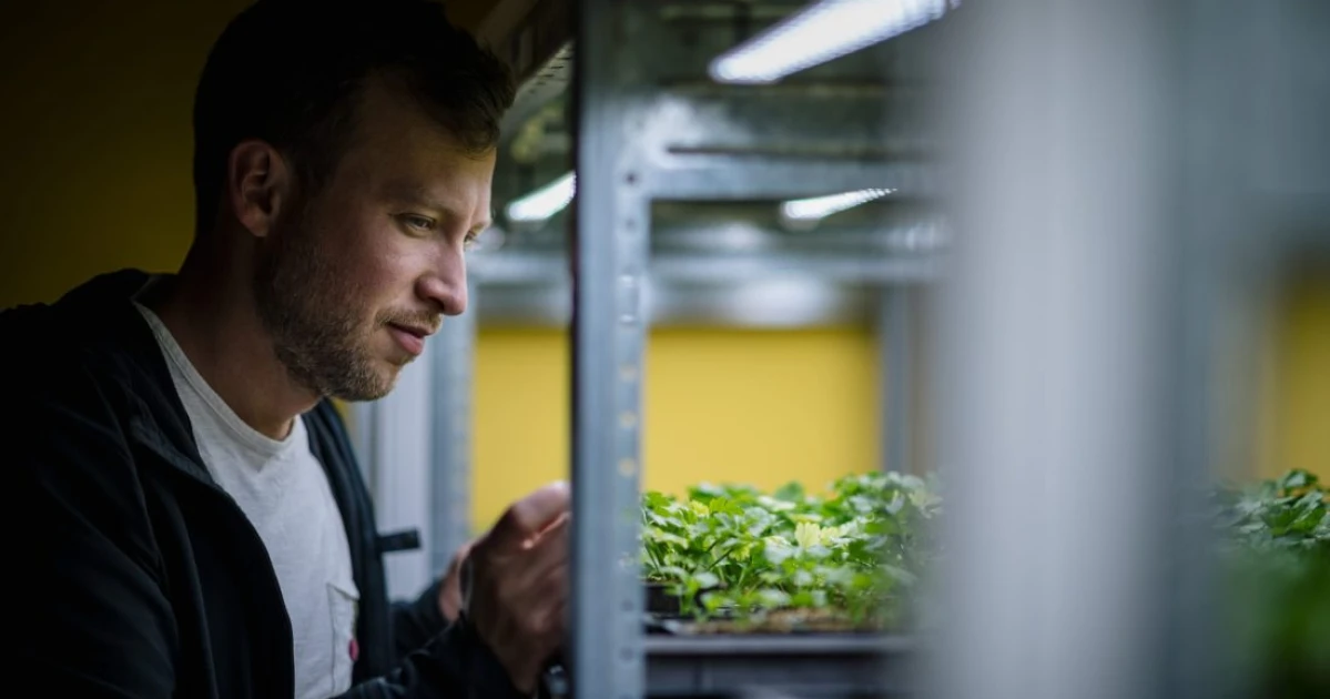 A legkisebb hazai termelőtől a Michelin-csillagos éttermeknek: jön Boldizsár és megoldja