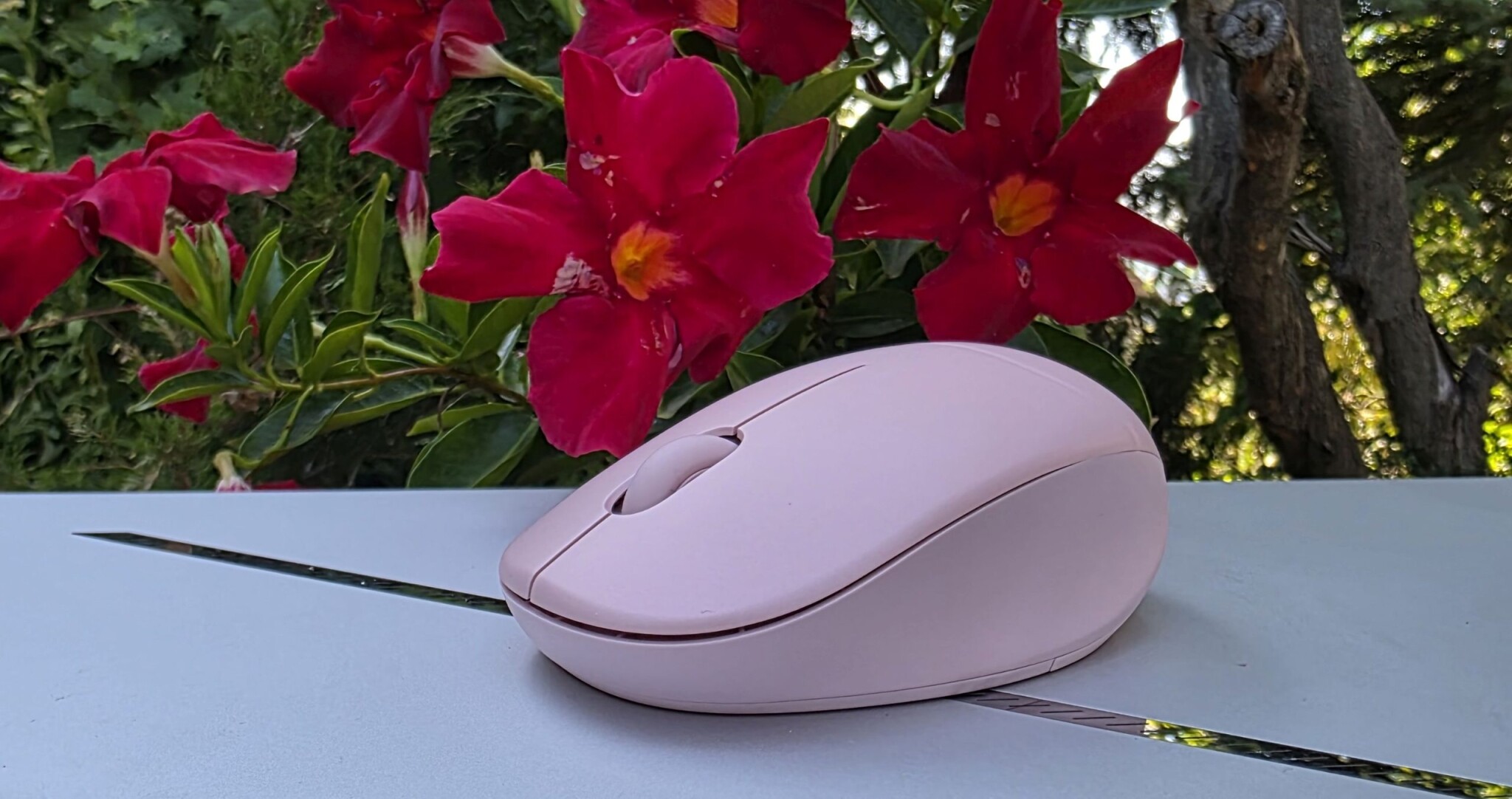 ASUS illatos eger