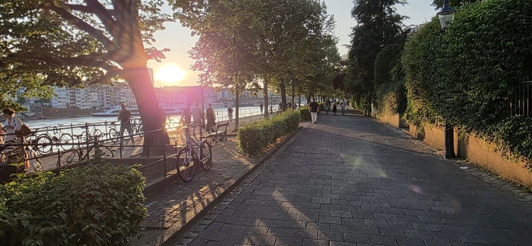 Kisebb vagyonok cserélnek gazdát az azúrkék Rajnánál_1