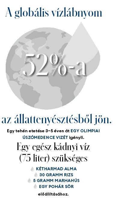 130 balatonnyi víz