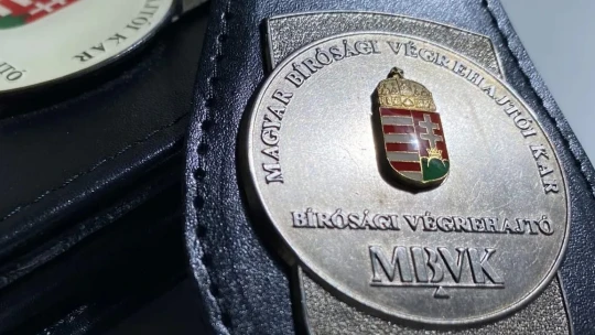 A végrehajtói kar ellen nincs végrehajtás, ismét a bírósághoz fordul ez a cég