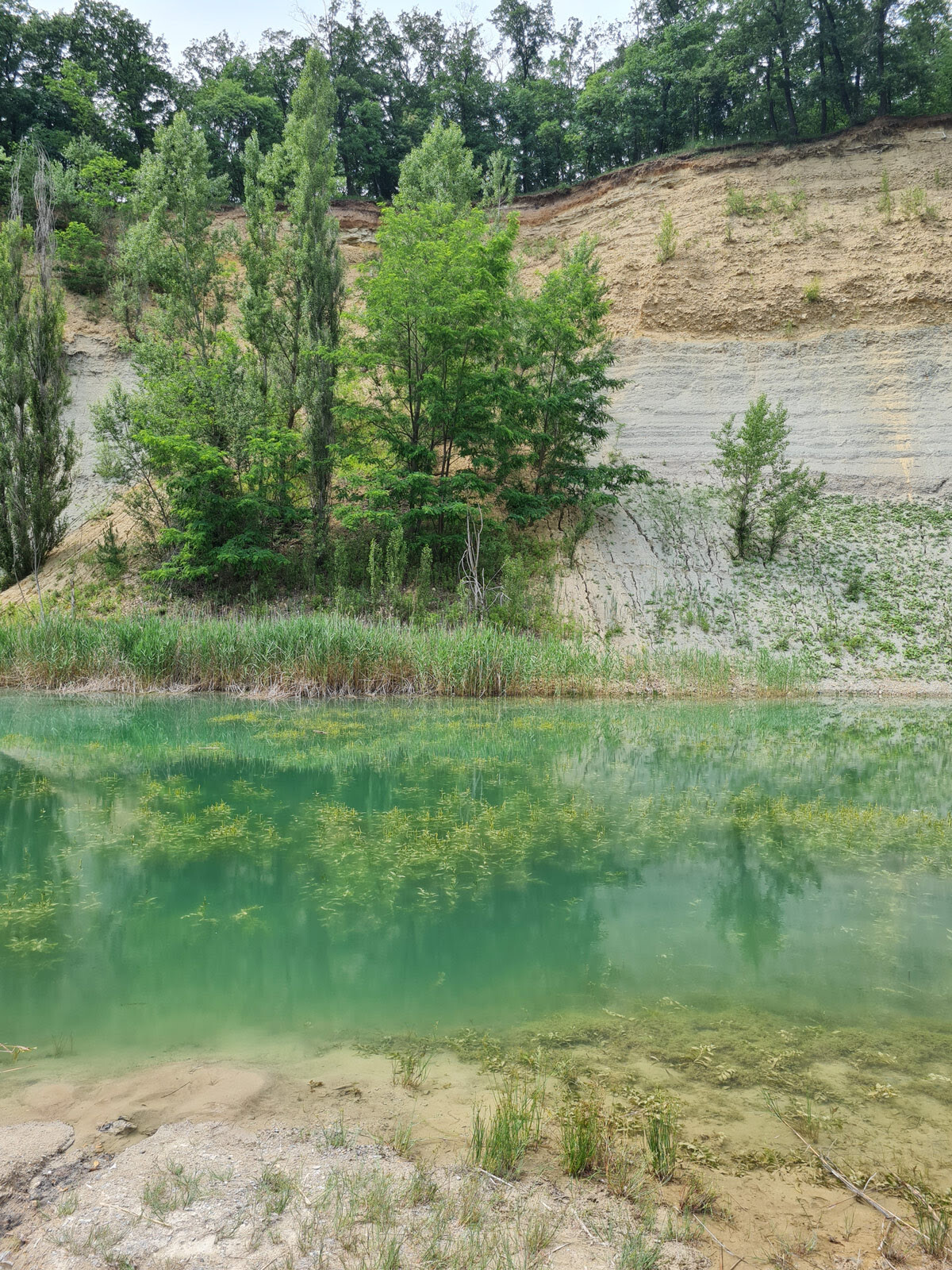 Veszélyes hulladékkal „rekultiváltak” egy bányát a Vértesben