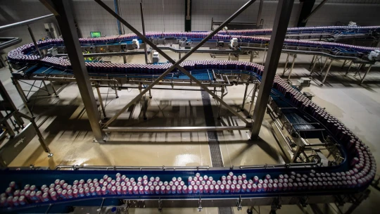 Egészen a Kőbányaiig is elérnek a japán sörgyárat ért kibertámadás szálai