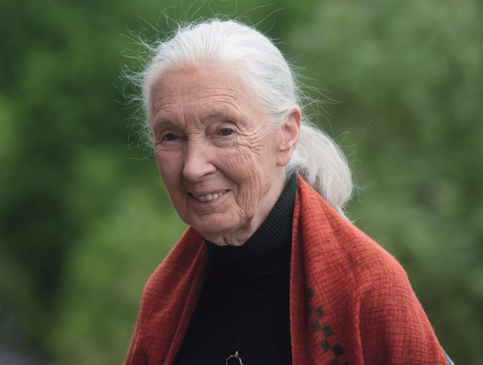 Az ember, aki átírta, mit jelent embernek lenni – Jane Goodall emlékére