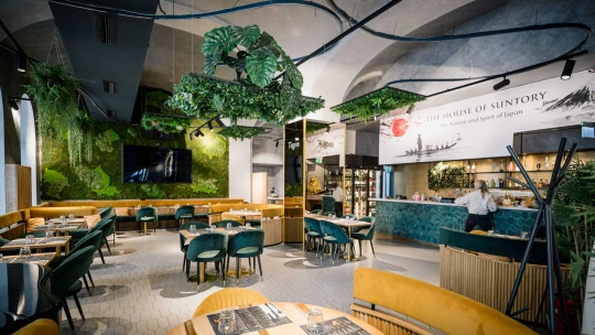 Csípős nagymacska kapros angolnával