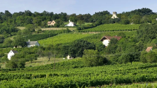 Gátlástalan ingatlanmaffia szerzett meg fővárosi és balatoni házakat, ürített ki bankszámlákat