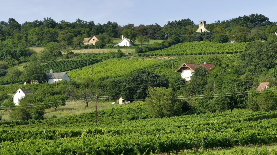 Gátlástalan ingatlanmaffia szerzett meg fővárosi és balatoni házakat, ürített ki bankszámlákat