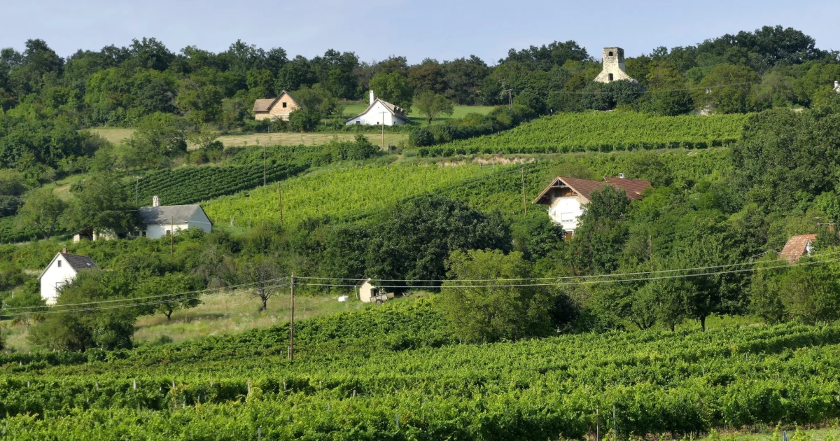 Gátlástalan ingatlanmaffia szerzett meg fővárosi és balatoni házakat, ürített ki bankszámlákat