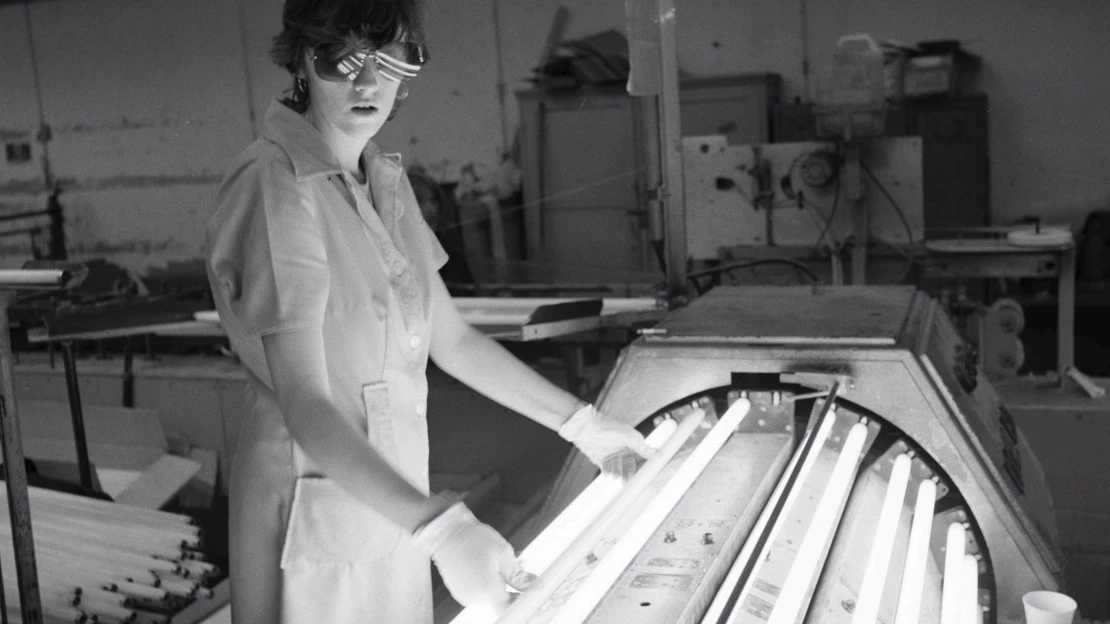 Volt egyszer egy Tungsram: Egger, Aschner, a nácik, a kommunisták és a NER