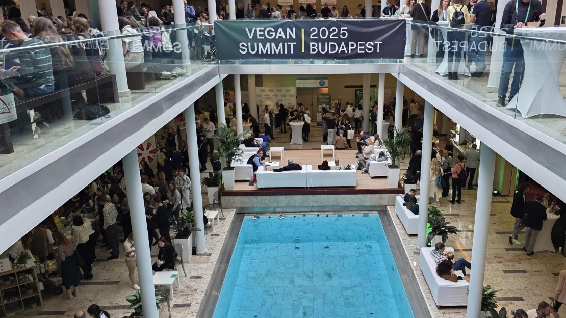 Öt imádni való vegán márka (nem csak vegánoknak)