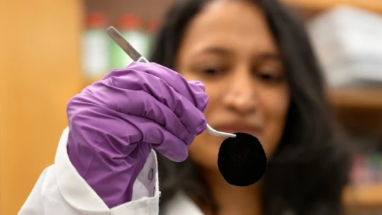 Új szuperfekete anyagra pöröghet rá a divatipar, amihez egy madár adta az ihletet