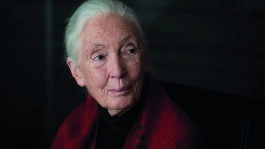 Vannak, akiket ki kéne lőni az űrbe – 10 fontos mondat Jane Goodalltól 2026-ra