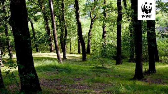 Élőhely-rekonstrukció: üzleti kockázatból versenyelőny