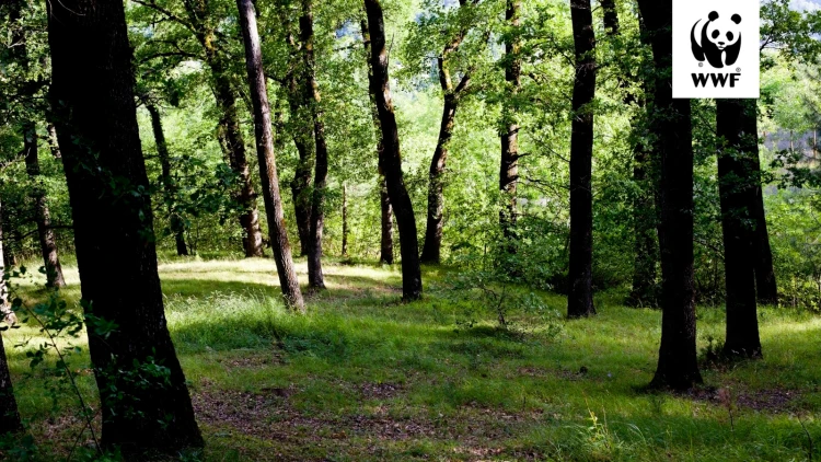 Élőhely-rekonstrukció: üzleti kockázatból versenyelőny