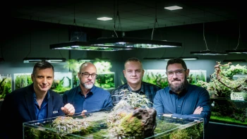 Halak helyett víz alatti tájképek? Azt mondták, lehetetlen. Most hatszázezer követőjük van a YouTube-on, így lett siker a Green Aqua