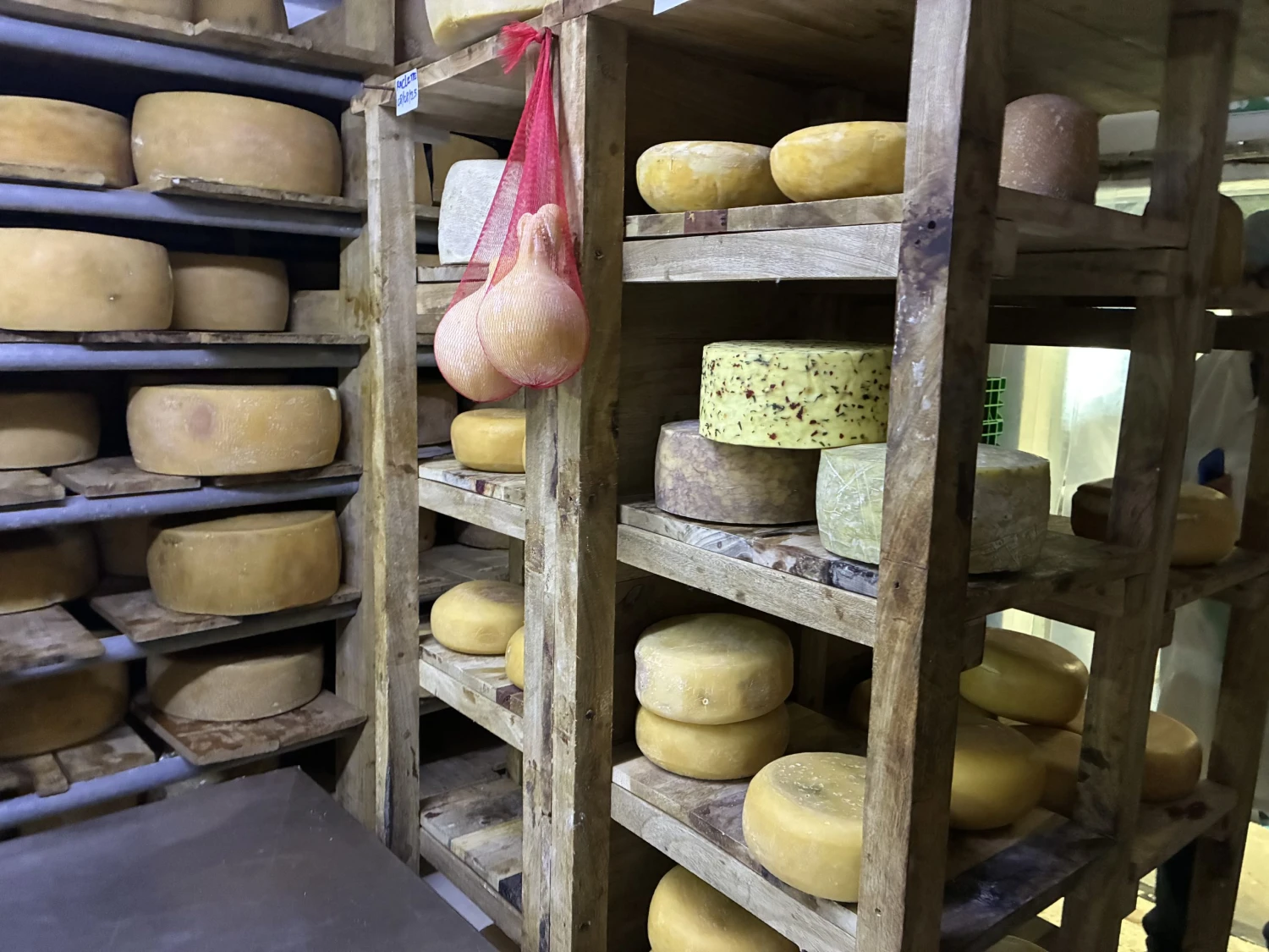 Sajtmanufaktúra, ahol nem is gondolnád – Kelet-Afrika piacvezető kézműves sajtműhelyében jártunk