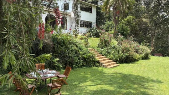 Sajtmanufaktúra, ahol nem is gondolnád – Kelet-Afrika piacvezető kézműves sajtműhelyében jártunk