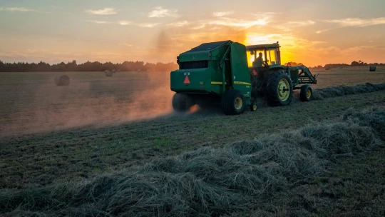 Az ország éléskamrái a vetőmagtól a csirkéig: így teljesített a top10 hazai agrárcég