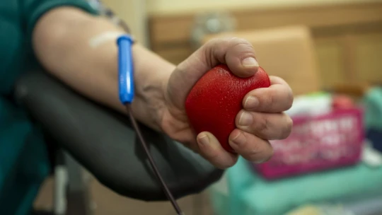 Csúcsra jár Bayer Zsolt feleségének plazmabiznisze