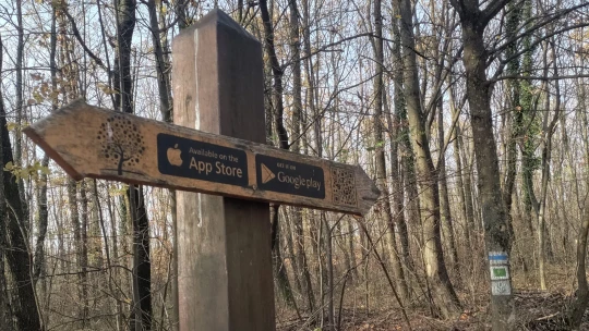 Kocsma továbbra sincs, de van gyönyörű táj és nyugalom – tovább a kéktúrán Dél-Magyarországon