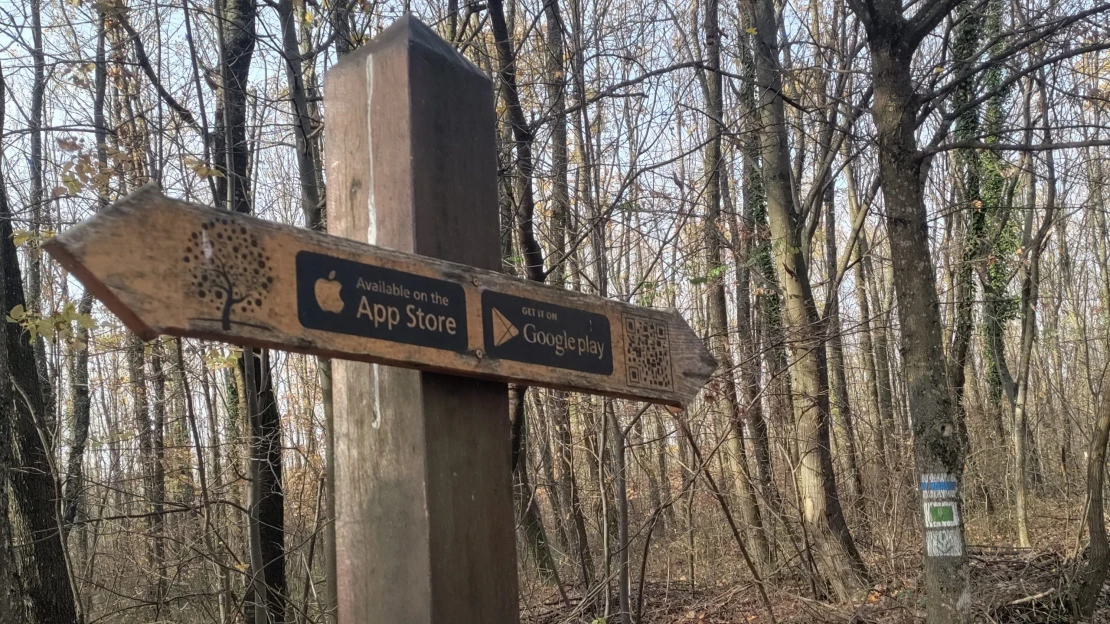 Kocsma továbbra sincs, de van gyönyörű táj és nyugalom – tovább a kéktúrán Dél-Magyarországon