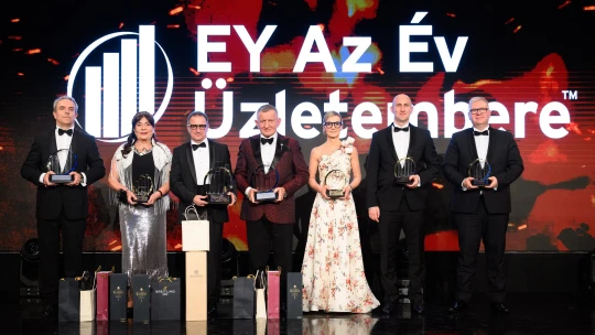 Veres Tibor Wallis-vezér lett az év üzletembere