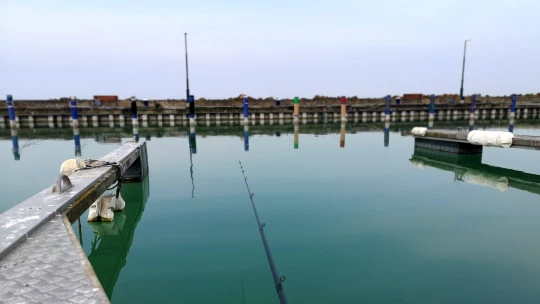A Balaton csendes szezonja: amikor a kikötők megtelnek keszegekkel