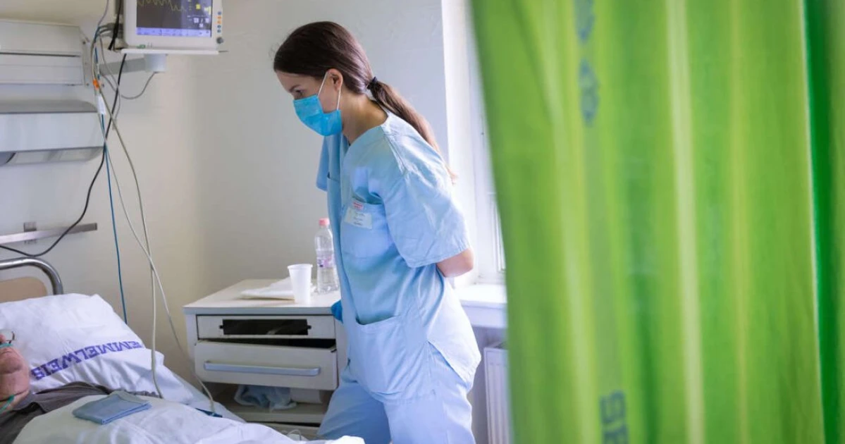 Száz nap alatt rendszerszintű fordulatot ígér a Tisza ezen a területen