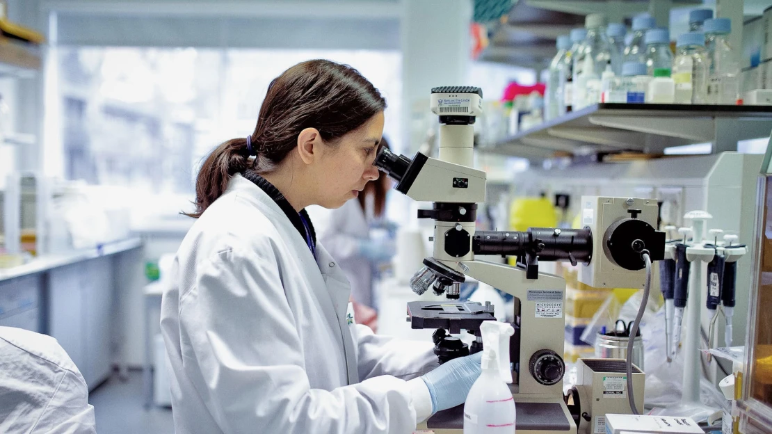 72 óra alatt megállítható a hajhullás? Egy új fejlesztés most felrobbantotta a piacot