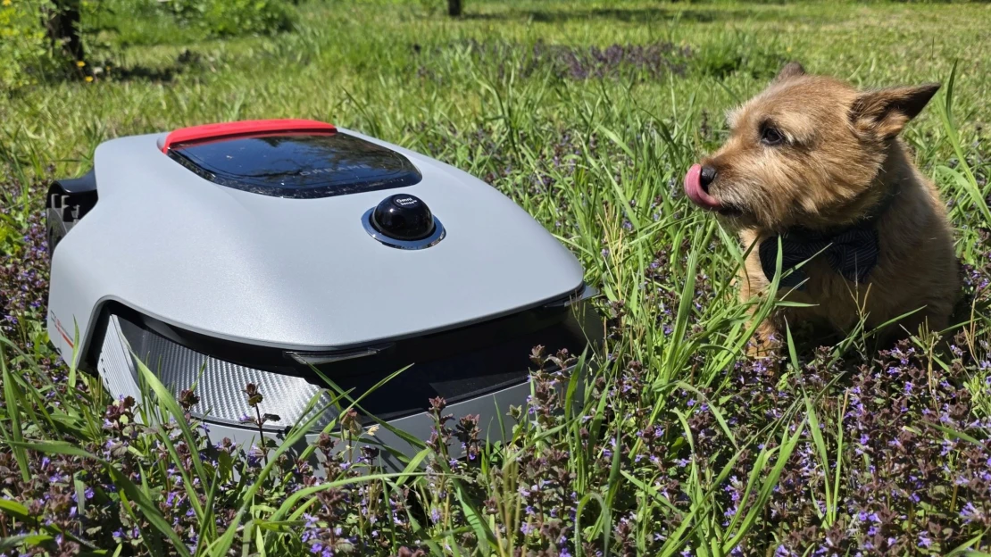 Megnéztük, valóban kiválthatja-e az embert az új kínai robotfűnyíró