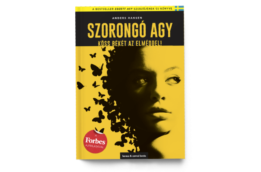 Anders Hansen: Szorongó agy