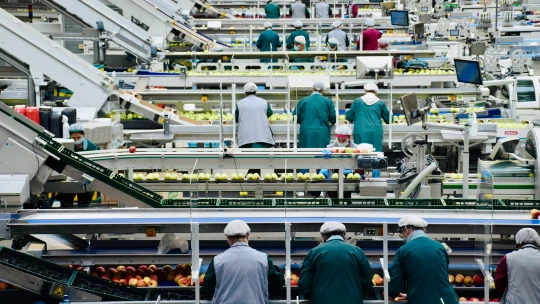 Vendégmunkás-stop: akkugyárakat és globális céget is kérdeztünk, a kormánnyal üzengető Master Good visszavonta válaszát