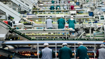 Vendégmunkás-stop: akkugyárakat és globális céget is kérdeztünk, a kormánnyal üzengető Master Good visszavonta válaszát