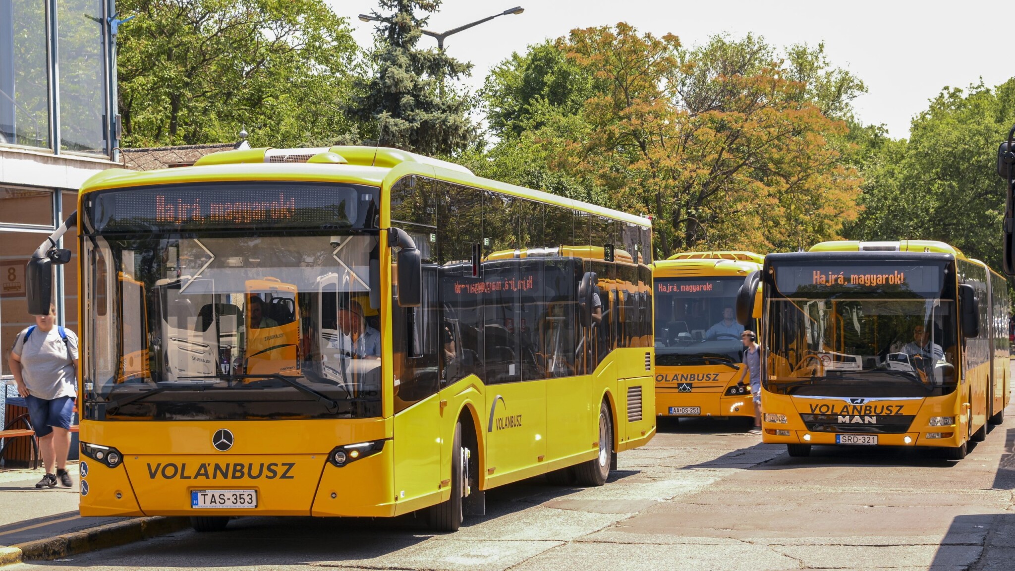 Ezért került veszélybe a Volánbusz működése