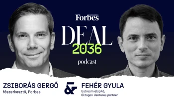 Fehér Gyula: Nem szeretem, amikor arra hivatkozunk, hogy az állam miatt nem megy valami