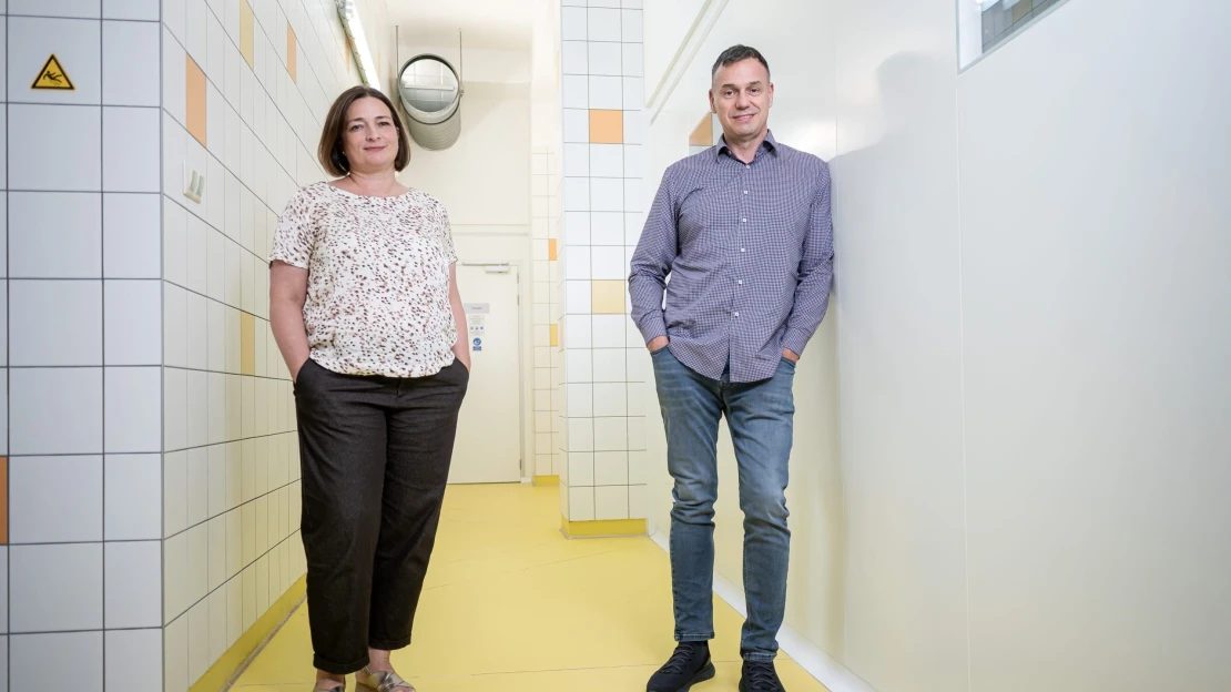 Harmadszorra már az ideális kérő érkezett fehér lovon – a házaspár, aki megvette a Cserpest