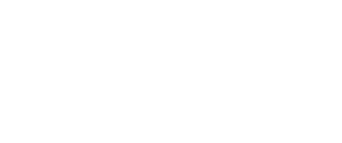 Pioneer Marketing